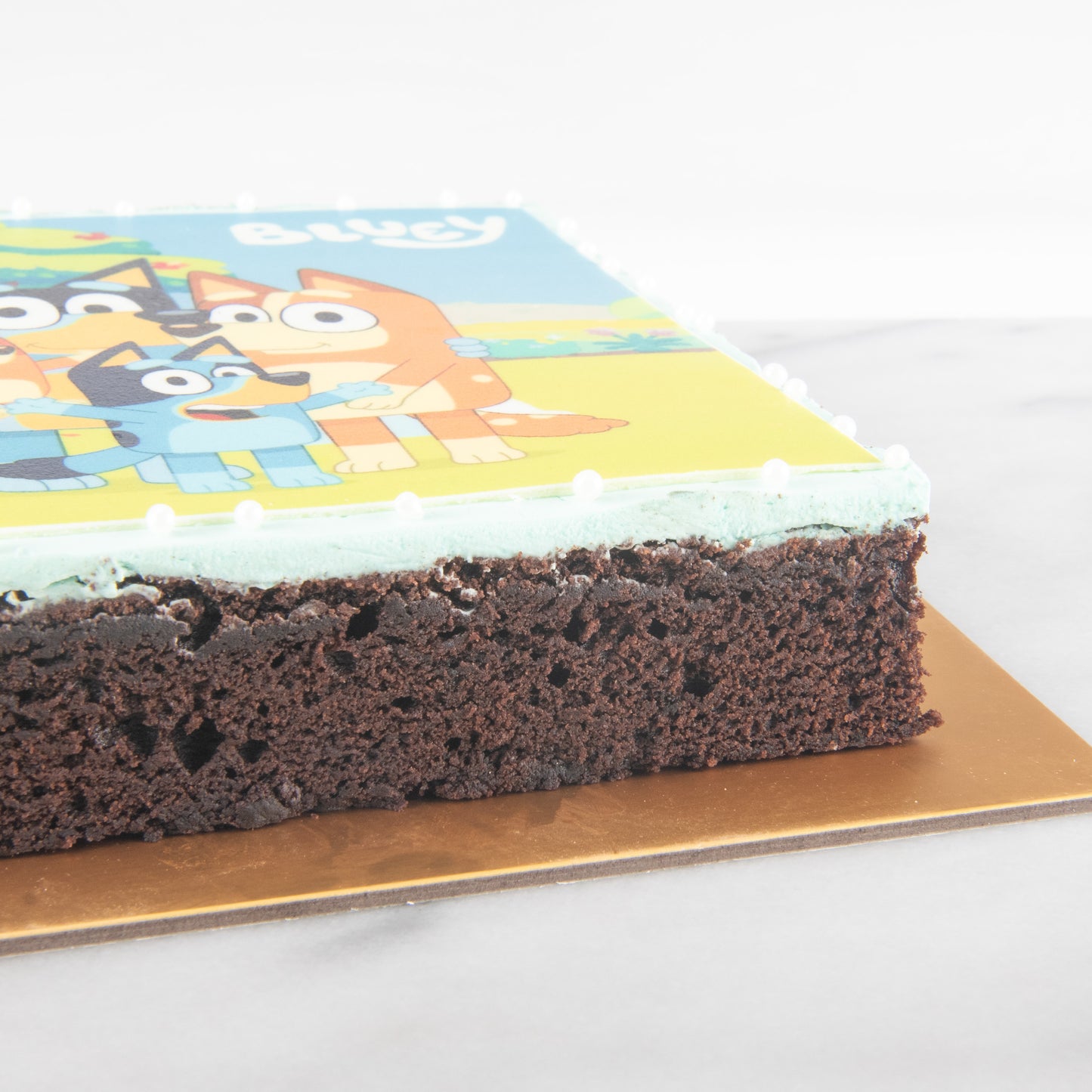 Bluey Fudgy Big Brownie 18x18cm | (U.P $65.80)