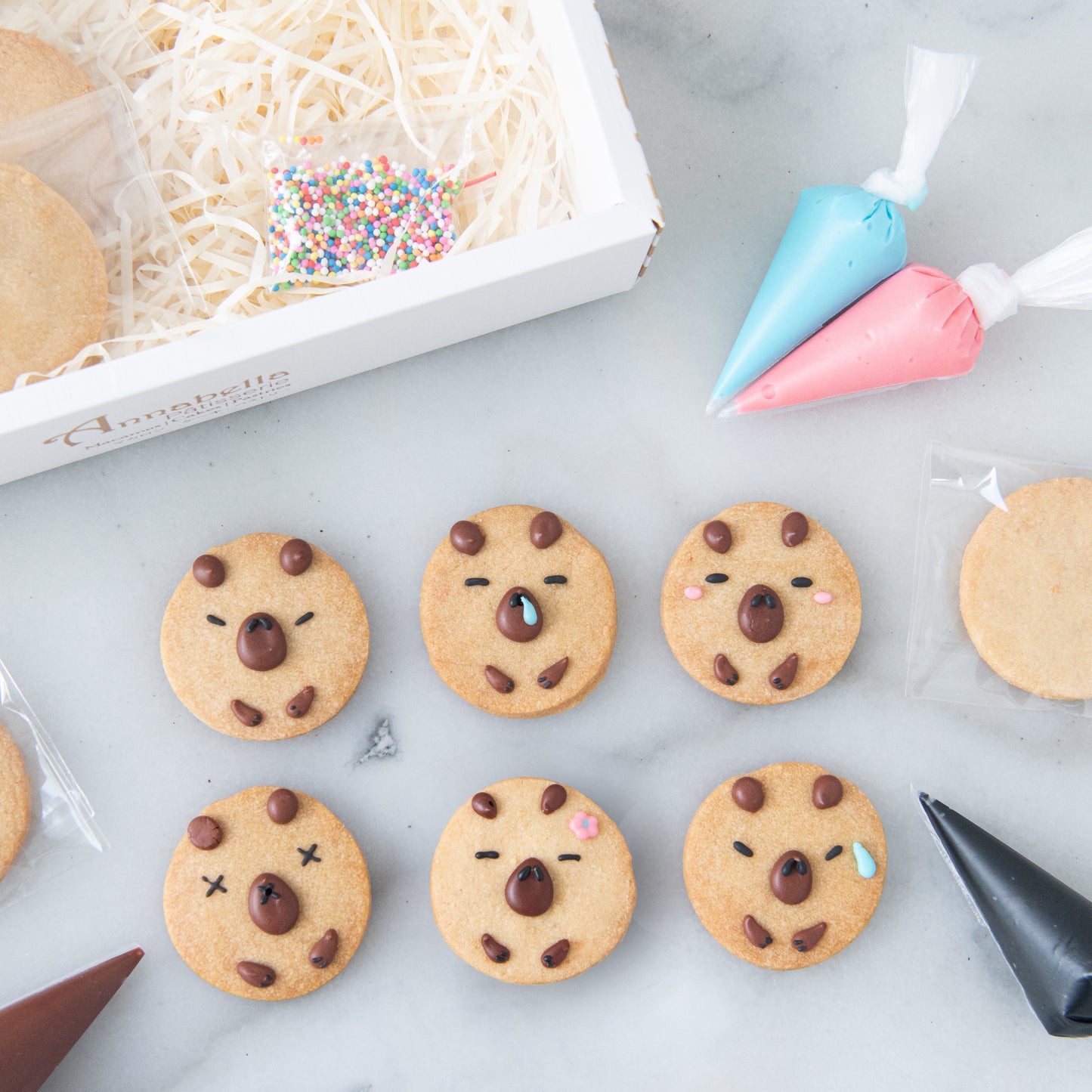 Capybara DIY Cookies In Gift Box | (U.P $38.80)