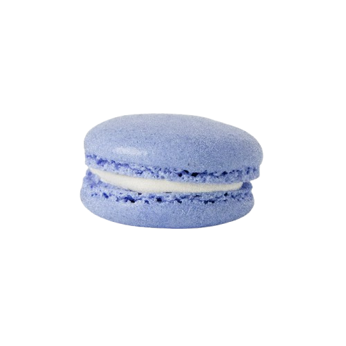 Premium Macaron - Sea Salt Caramel (1pc)