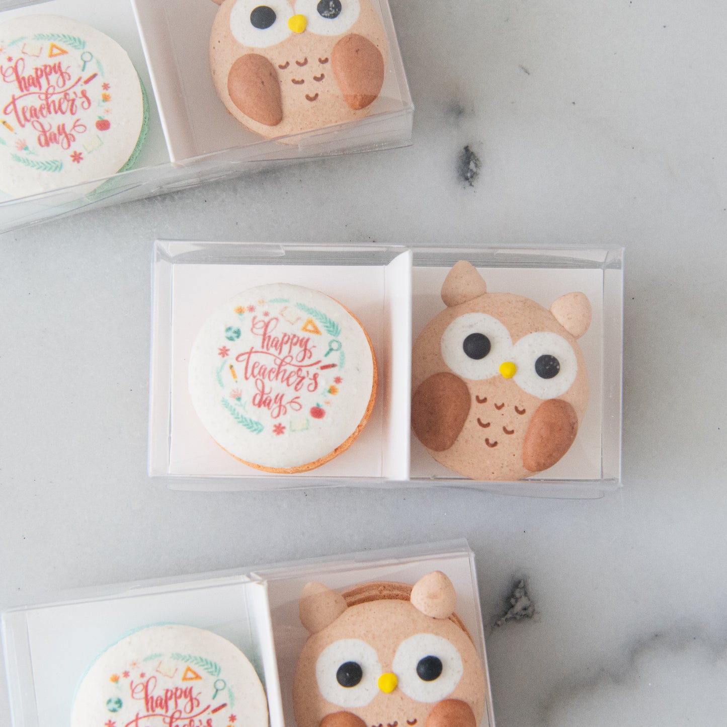 Happy Teacher's Day | 2in1 Wise Owl Macaron | $8.80 Nett