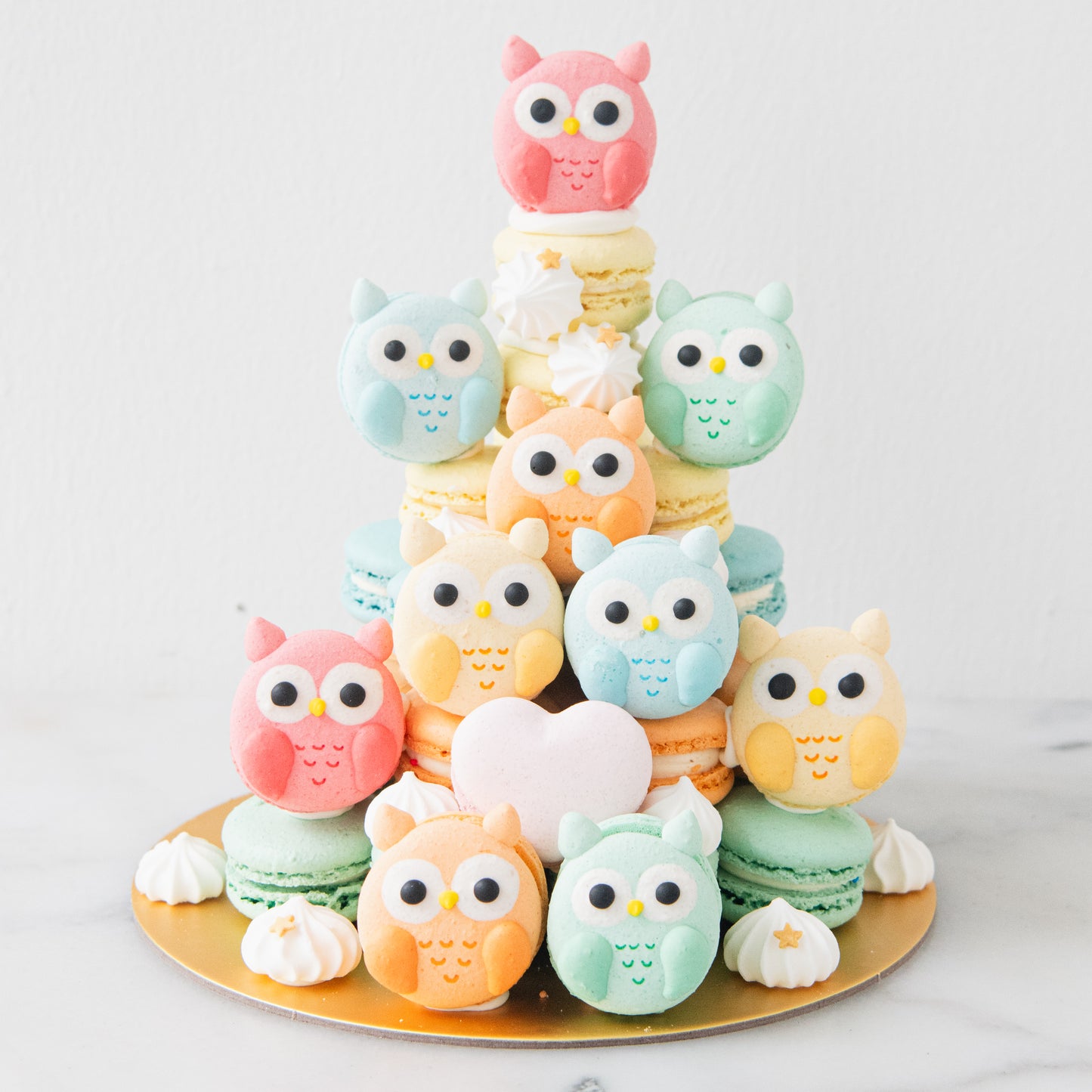 Happy Teacher's Day | Colourful Wise Owls Macaron Tower | Price $158 nett