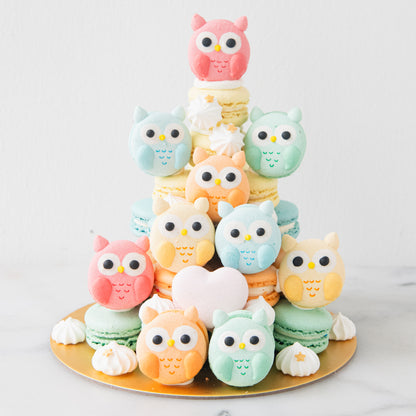 Happy Teacher's Day | Colourful Wise Owls Macaron Tower | Price $158 nett