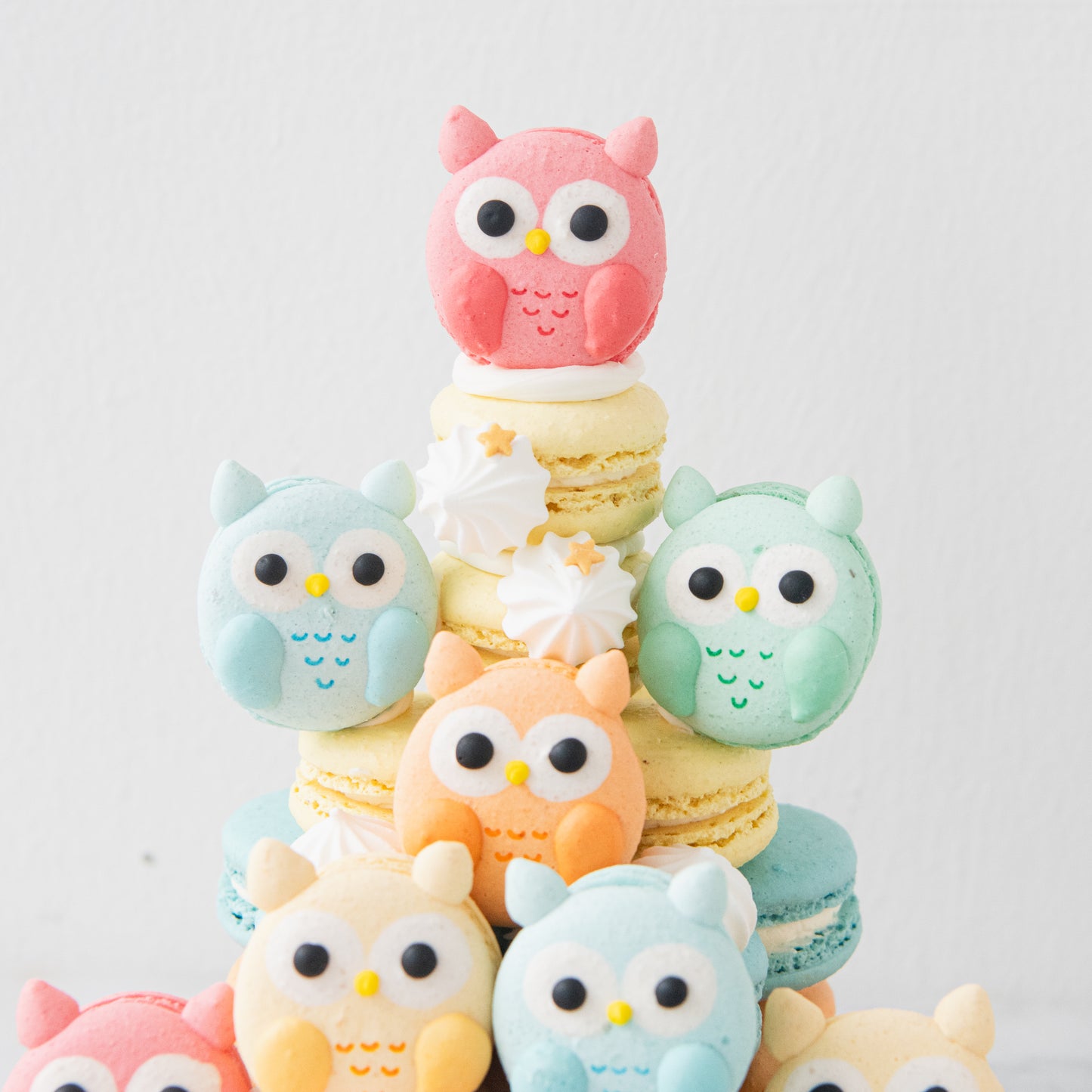 Happy Teacher's Day | Colourful Wise Owls Macaron Tower | Price $158 nett