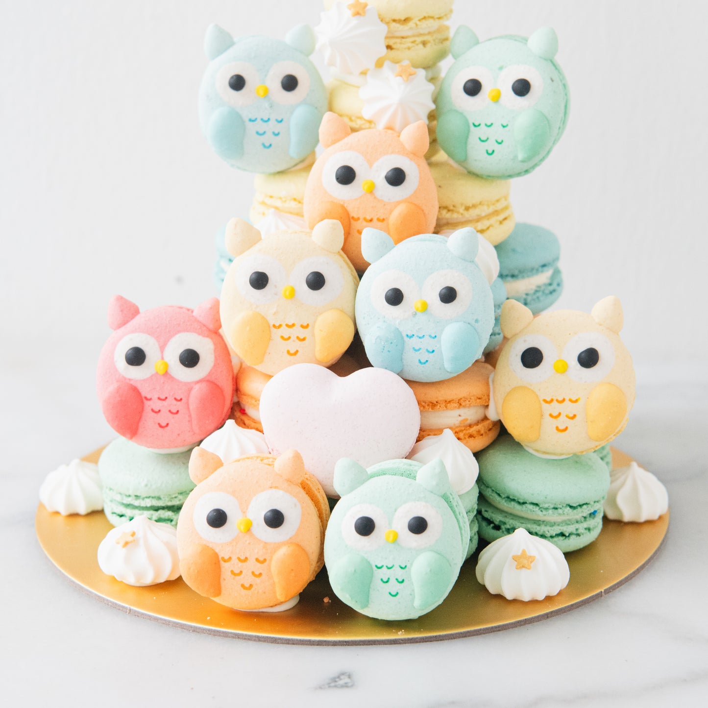 Happy Teacher's Day | Colourful Wise Owls Macaron Tower | Price $158 nett