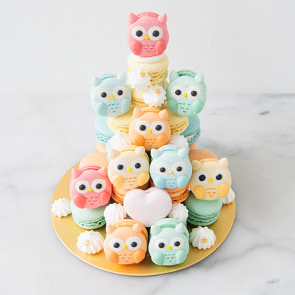 Happy Teacher's Day | Colourful Wise Owls Macaron Tower | Price $158 nett