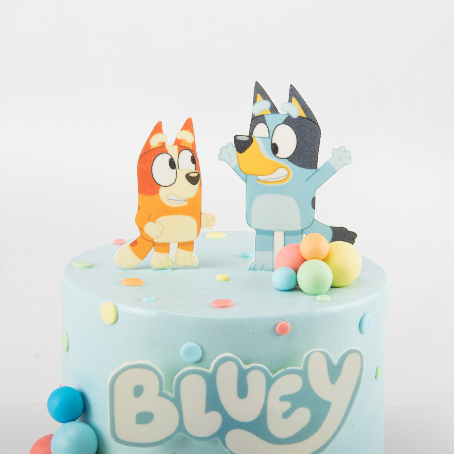 Bluey Birthday Cake 6'' | $158 Nett