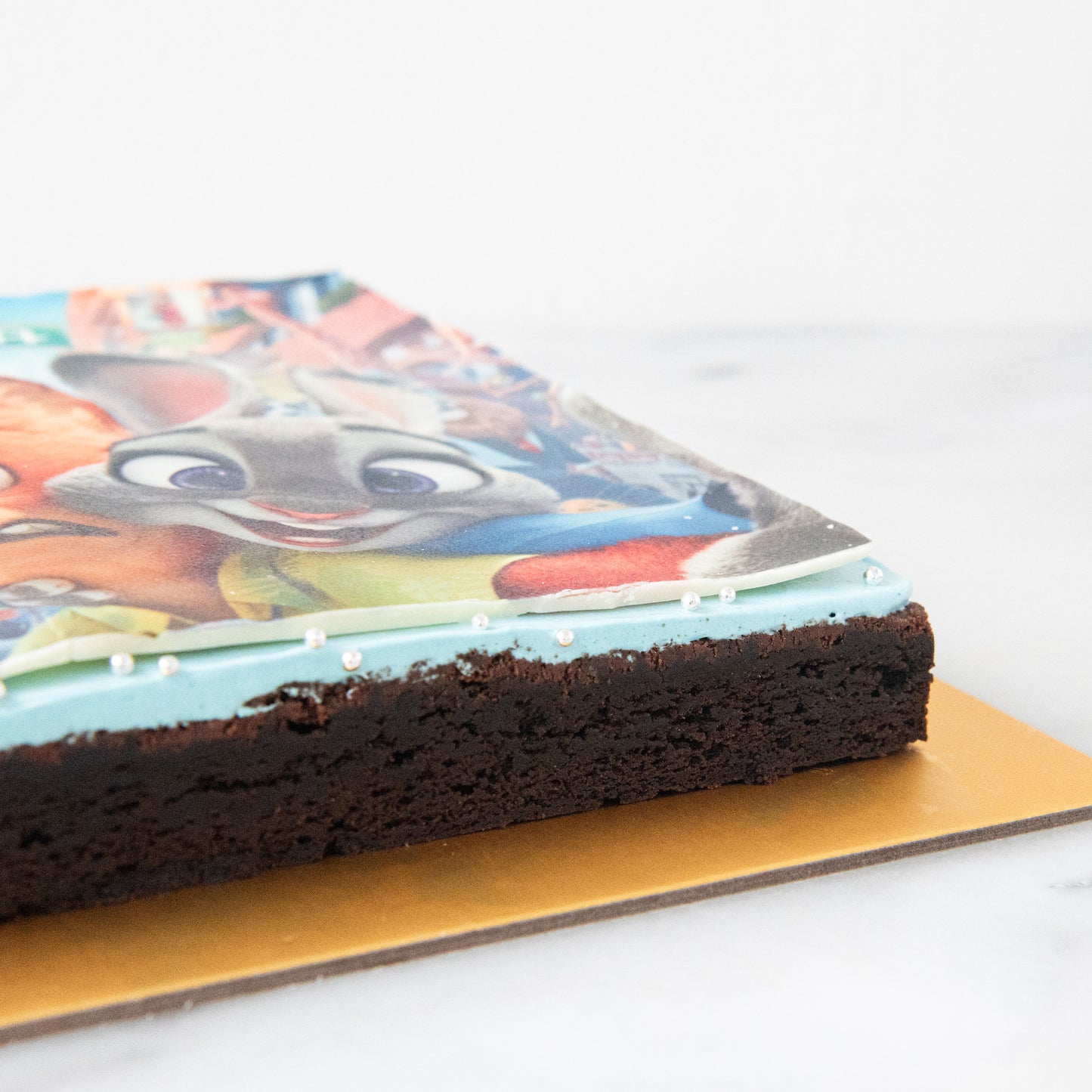 Disney Zootopia Big Brownie | U.P $65.80
