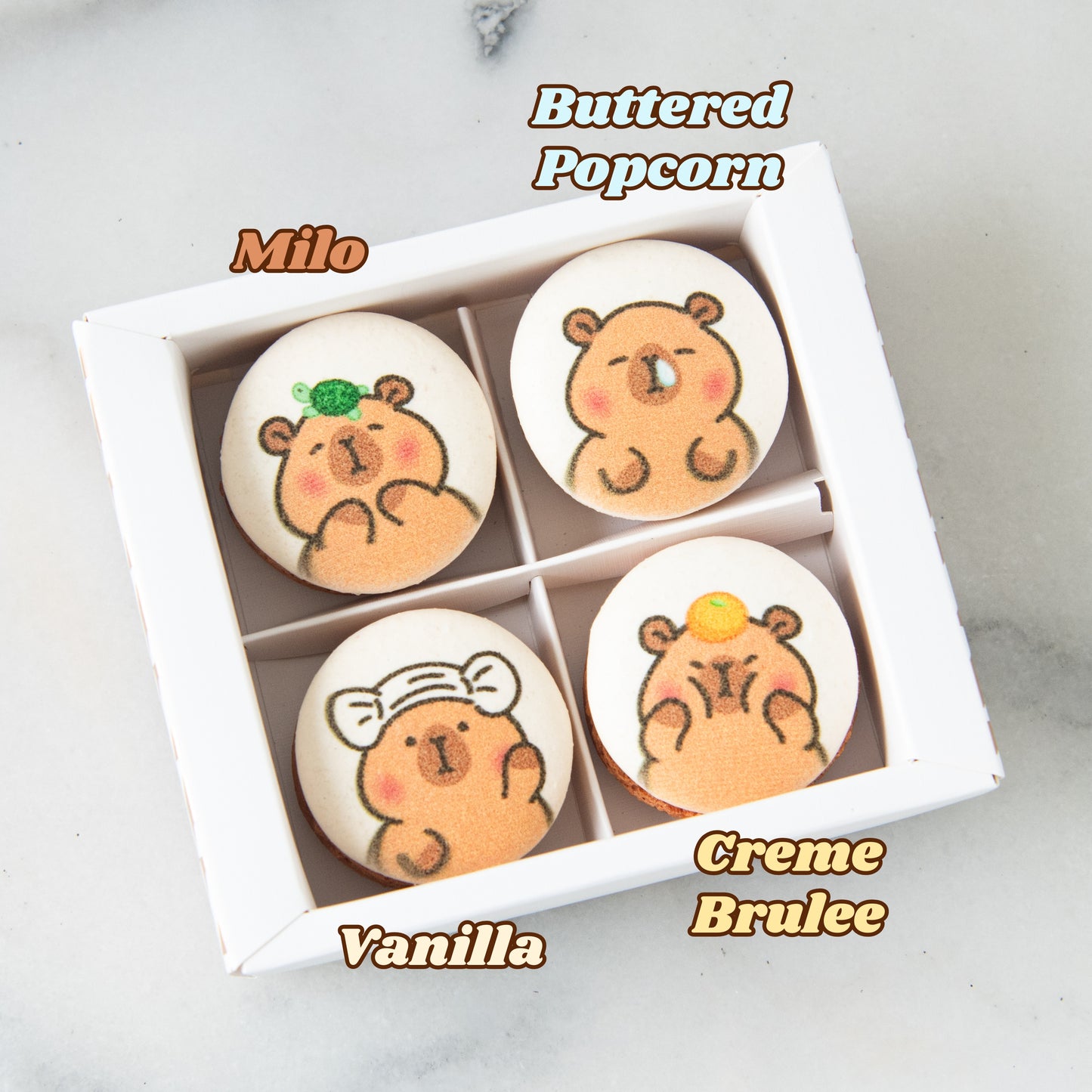 4in1 Printed Capybara Macaron In Gift Box | (U.P $25.60)