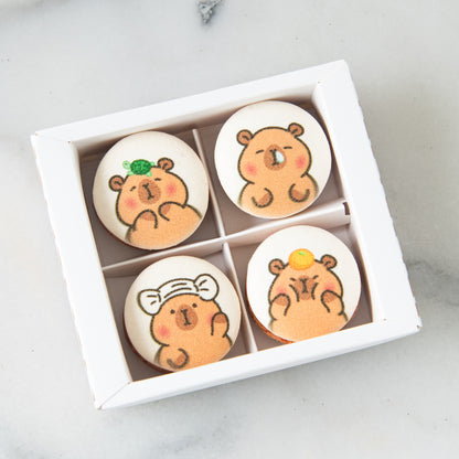 4in1 Printed Capybara Macaron In Gift Box | (U.P $25.60)