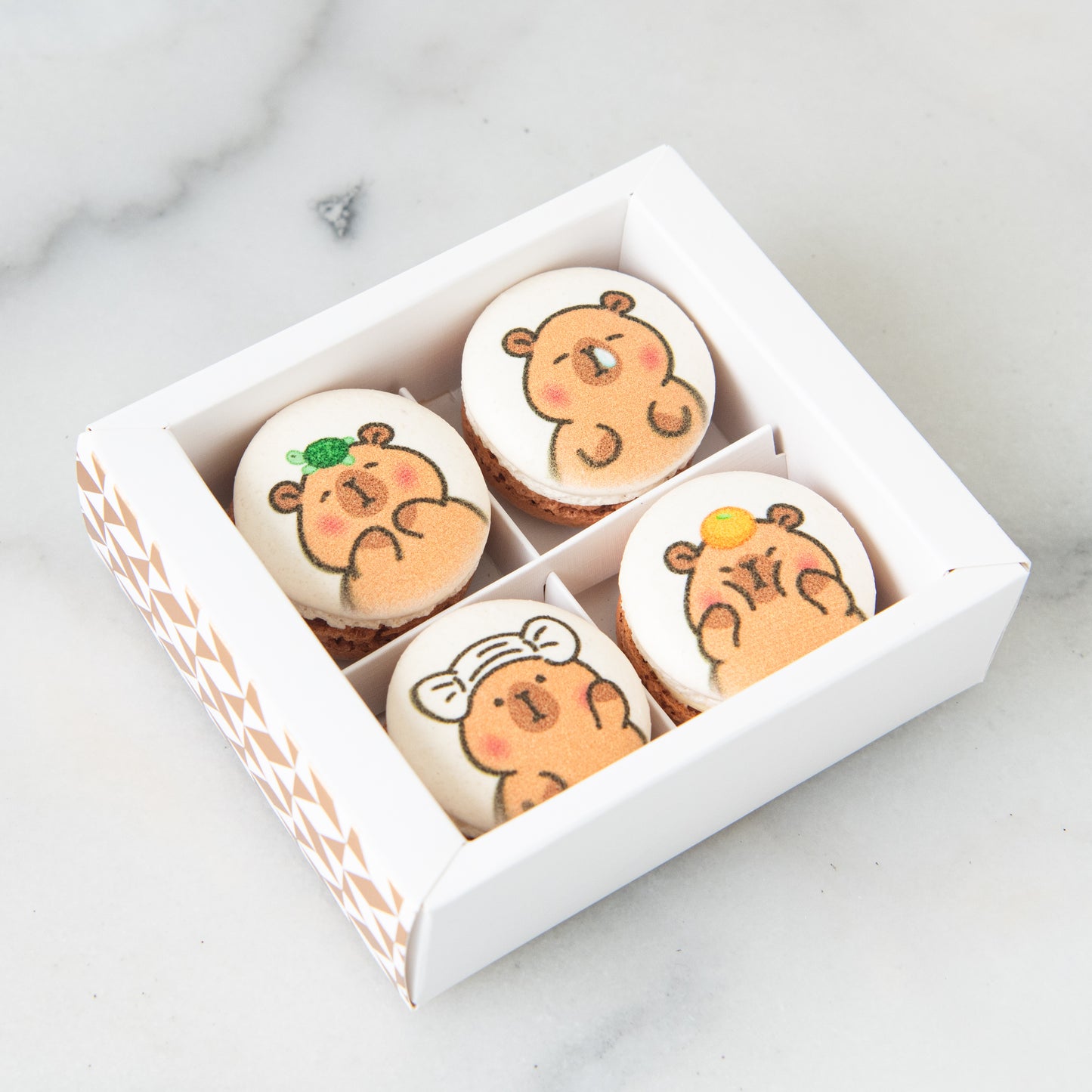 4in1 Printed Capybara Macaron In Gift Box | (U.P $25.60)