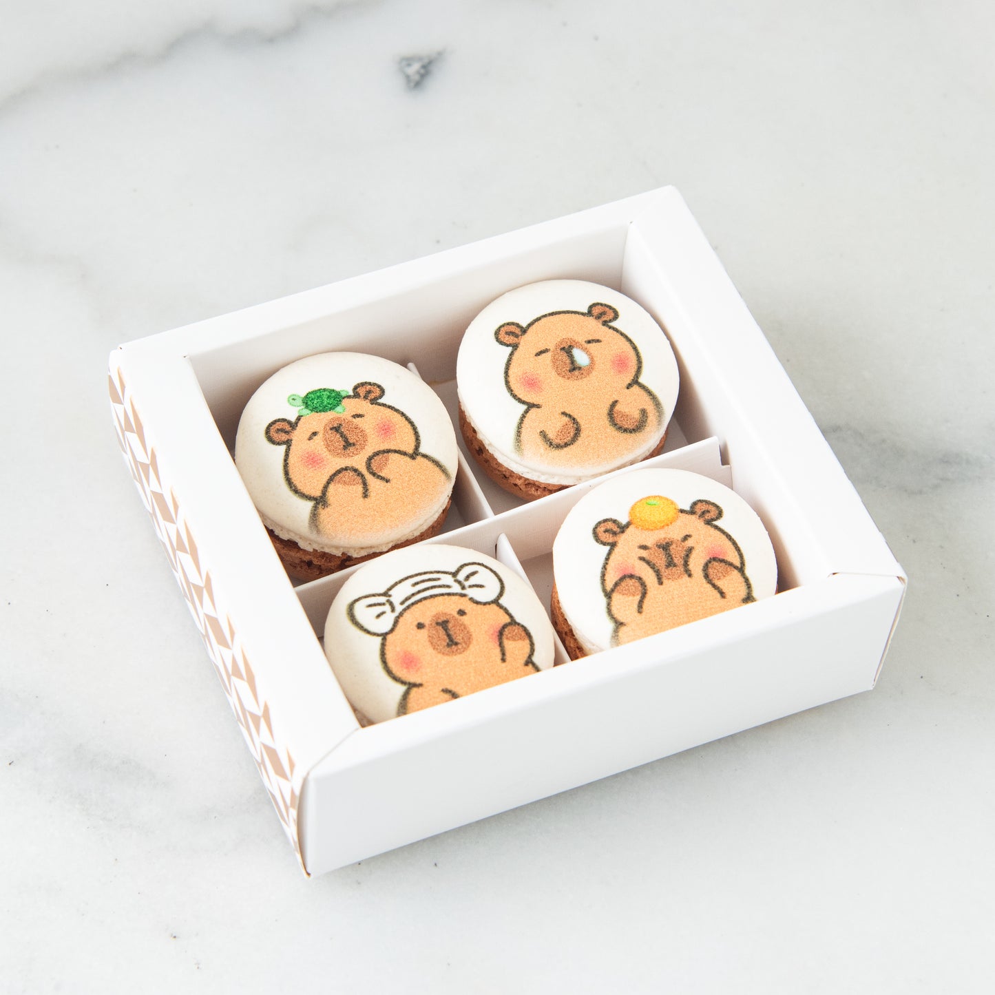 4in1 Printed Capybara Macaron In Gift Box | (U.P $25.60)