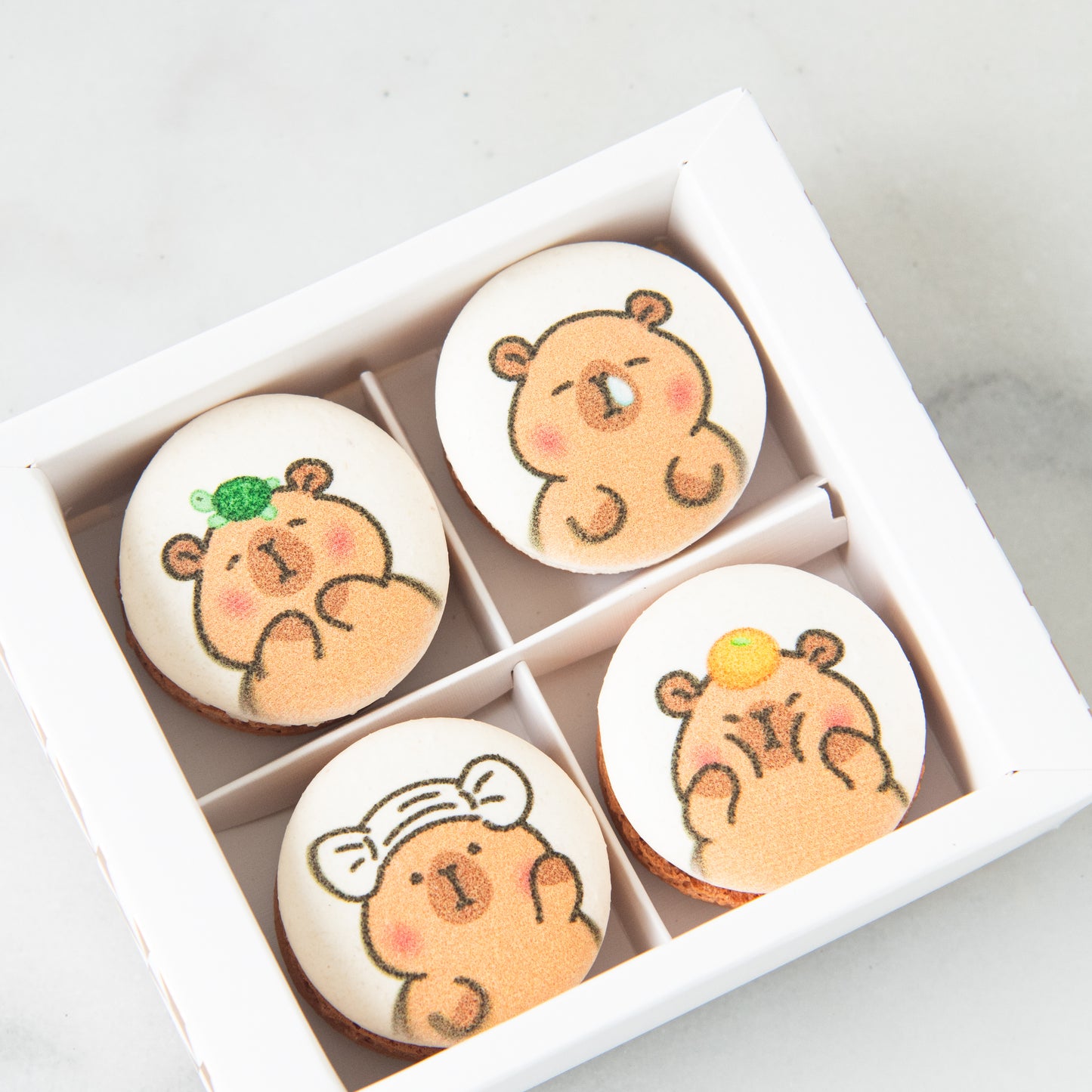 4in1 Printed Capybara Macaron In Gift Box | (U.P $25.60)