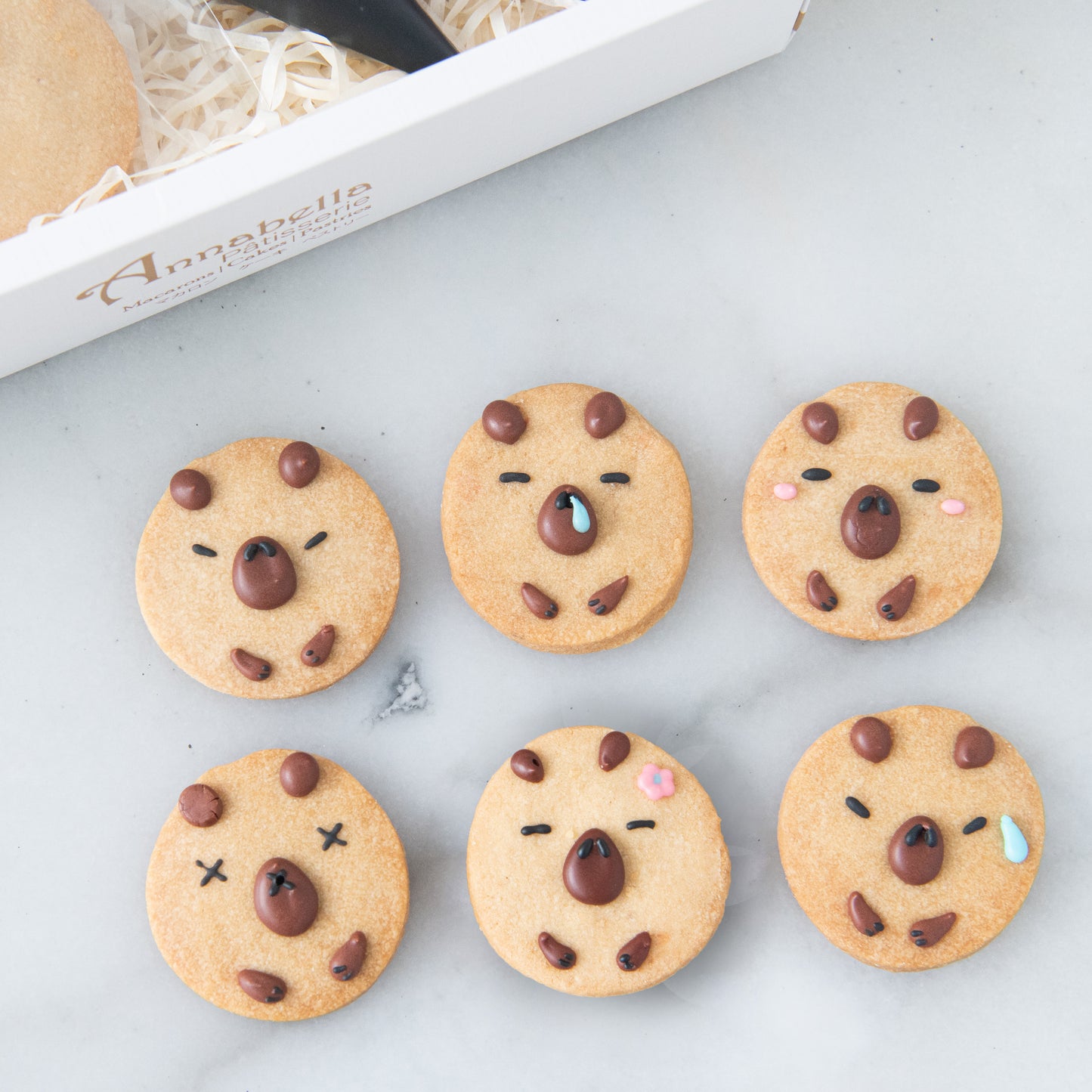 Capybara DIY Cookies In Gift Box | (U.P $38.80)