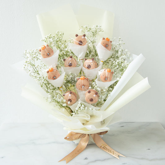 Capybara Macaron Bouquet | $138 only (u.p $258.00)