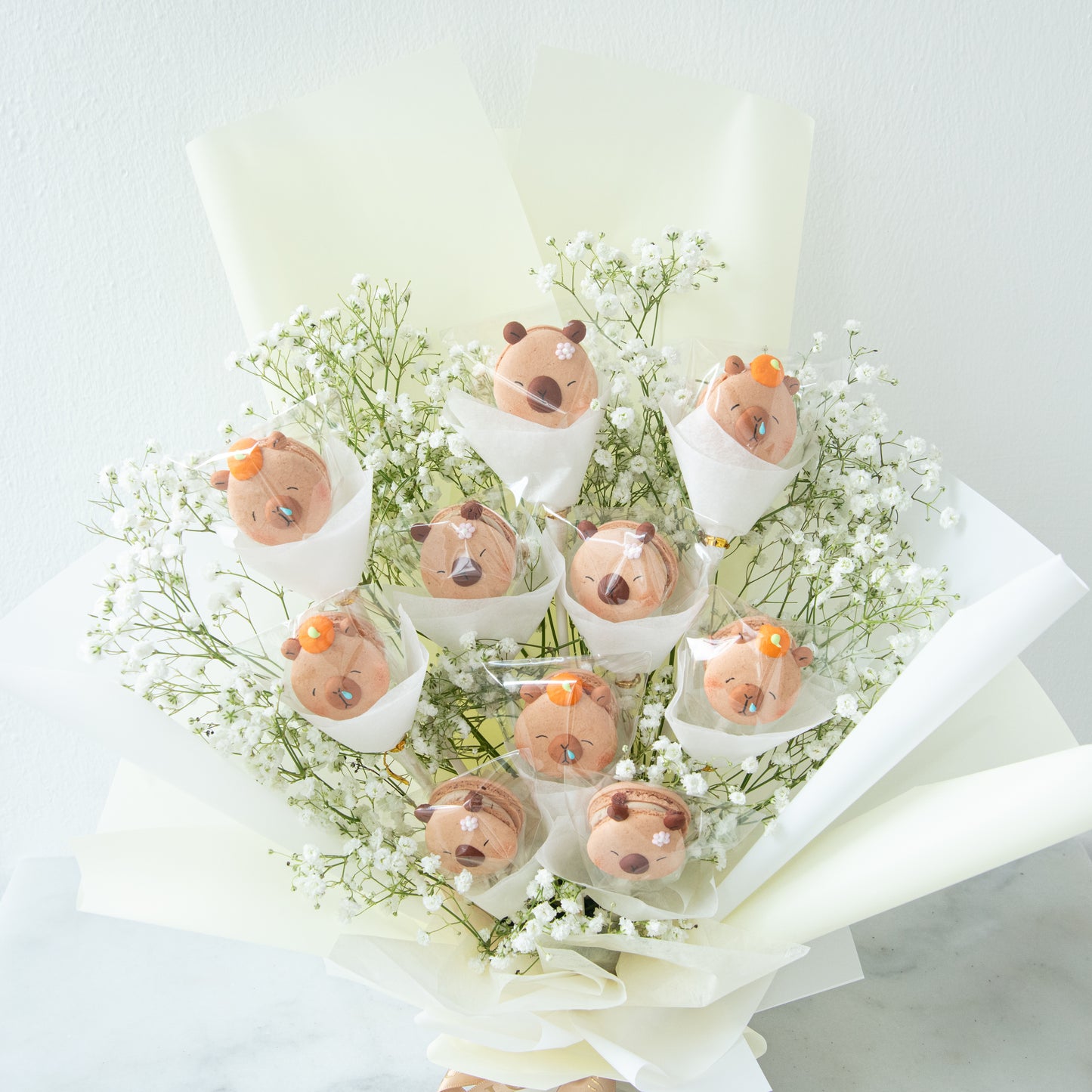 Capybara Macaron Bouquet | $138 only (u.p $258.00)