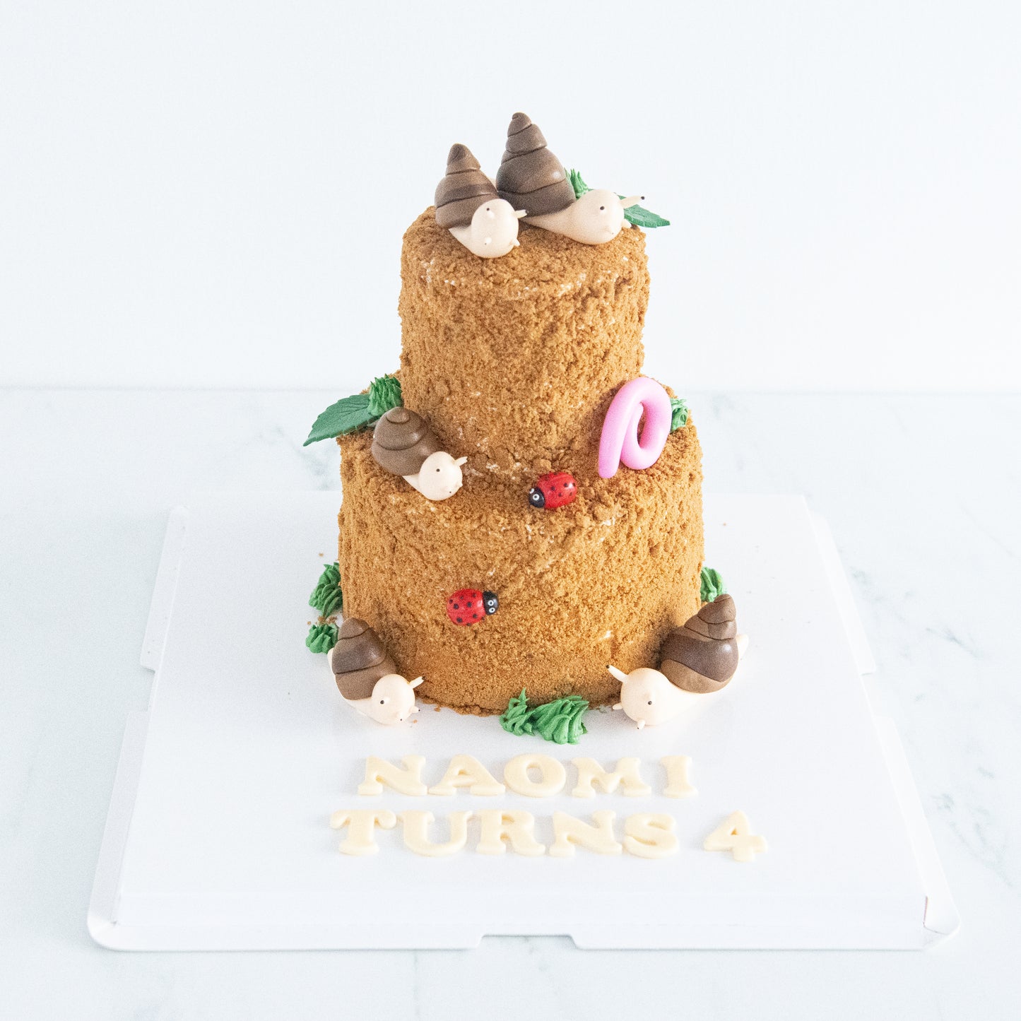 Customized Cake - Garden Snail Cake