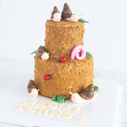 Customized Cake - Garden Snail Cake