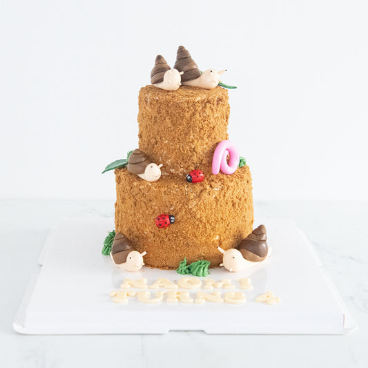 Customized Cake - Garden Snail Cake