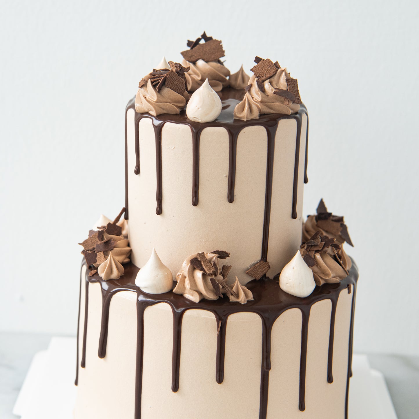 2-Tiers Chocolate Truffles Cake with 9pcs Macaron (Customised Pre order 3 days in advance)