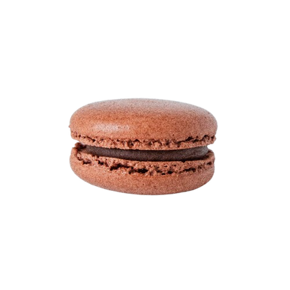 Premium Macaron - Grande (1pc)