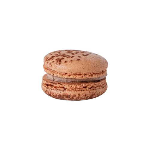 Classic Macaron - Milo Dinosaur(1pc)