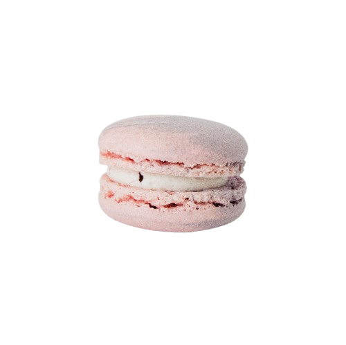 Marvellous Macaron - Ribena (1pc)