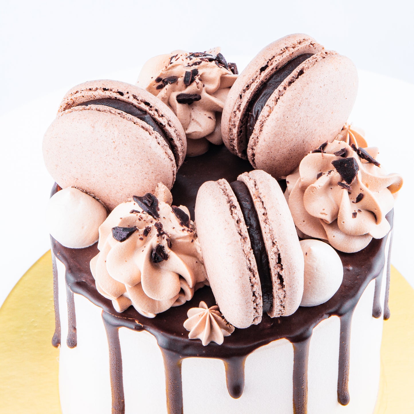 Chocolate Truffle Cake Petite   | Including 3 pcs Macarons | (U.P $60.00)