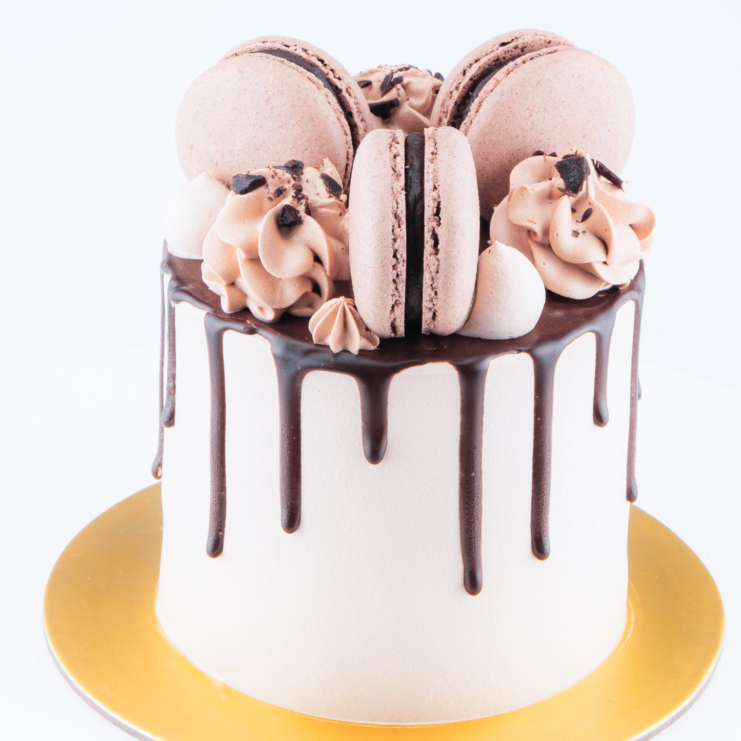 Chocolate Truffle Cake Petite   | Including 3 pcs Macarons | (U.P $60.00)
