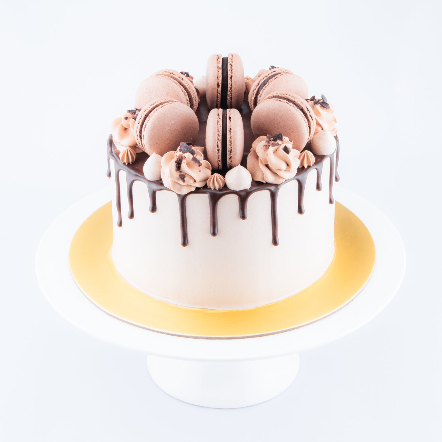 Chocolate Truffle Cake Upsize (Including  6 pcs macarons) |U.P $80.00