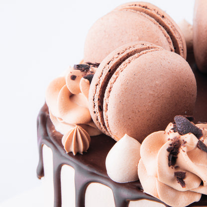 Chocolate Truffle Cake Upsize (Including  6 pcs macarons) |U.P $80.00