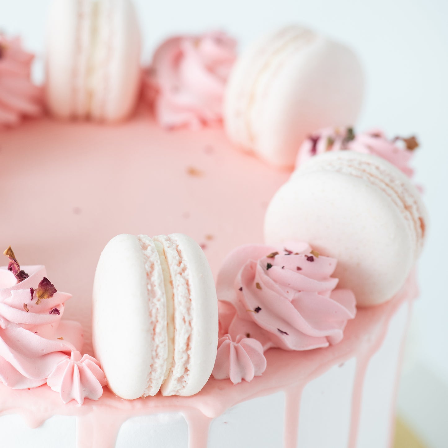 Lychee Rose Cake Upsize (Including  6 pcs macarons)| U.P $80.00