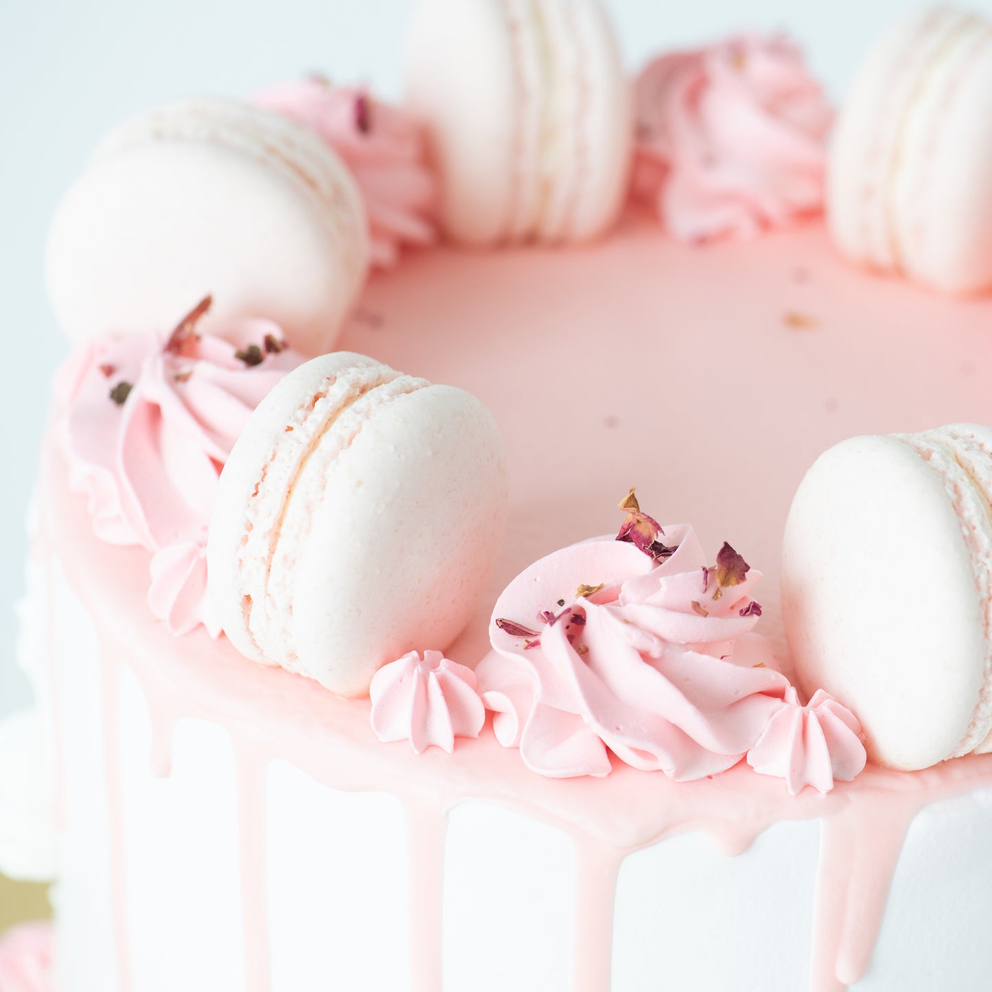 Lychee Rose Cake Upsize (Including  6 pcs macarons)| U.P $80.00