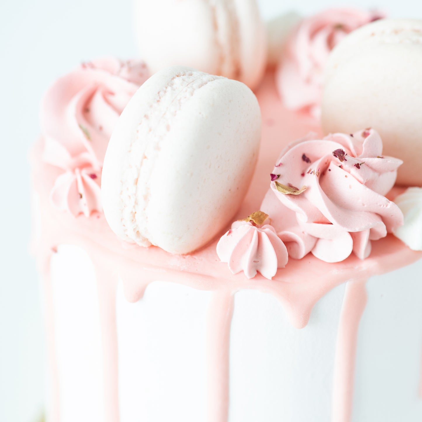 Lychee Rose Cake Petite   | Including 3 pcs Macarons | (U.P $60.00)