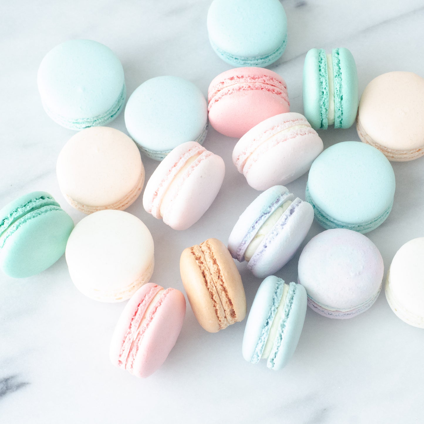 10pcs Marvelous Macarons (Marvellous 1) in Gift Box and Paper Bag | Perfect Gift Choice